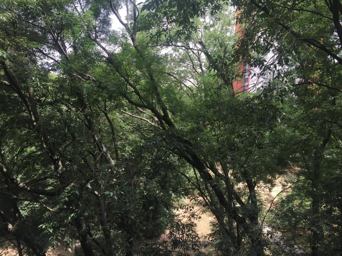 Apartment Ljiljana Βελιγράδι Εξωτερικό φωτογραφία