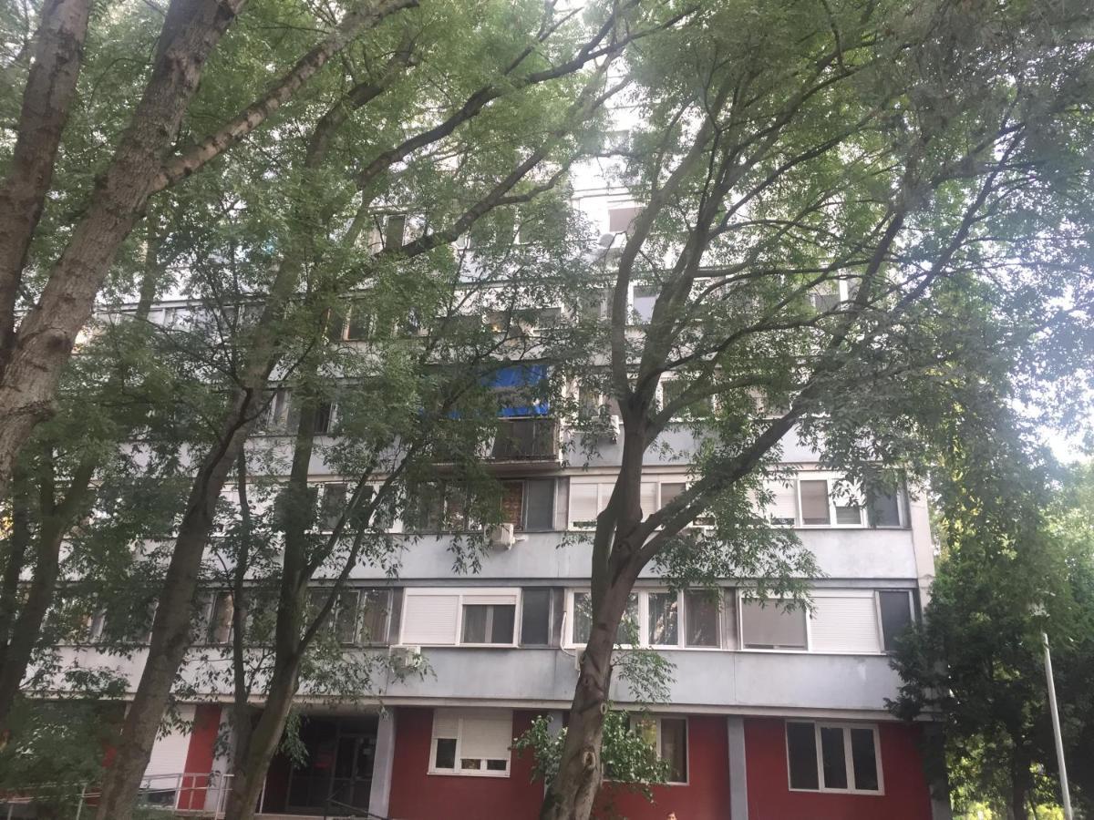 Apartment Ljiljana Βελιγράδι Εξωτερικό φωτογραφία