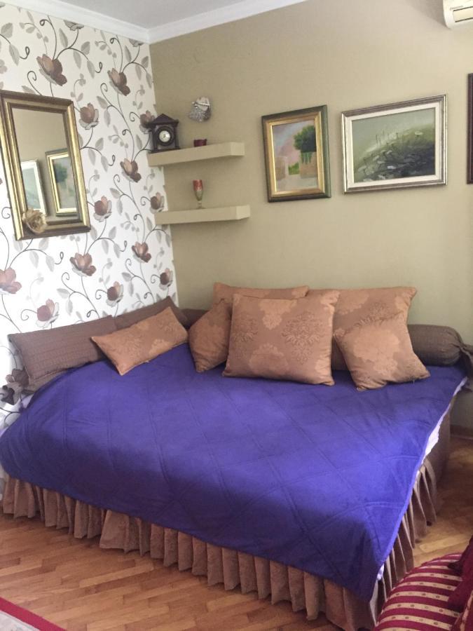 Apartment Ljiljana Βελιγράδι Εξωτερικό φωτογραφία